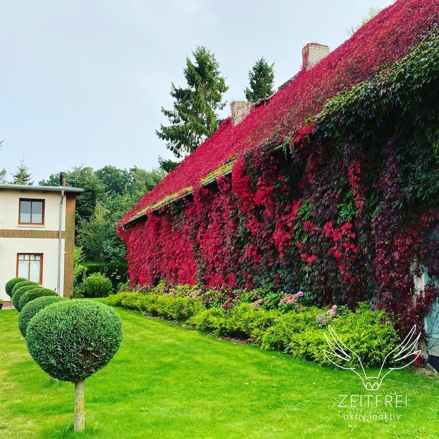 Zeitfrei Urlaubsappartememts & Veranstaltungsort Steffenshagen Exterior foto